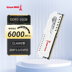 长城 16GB DDR5 6000MT/s 台式机电脑主机内存条马甲条铂金系列CL46 6000MHz 16GB 1条