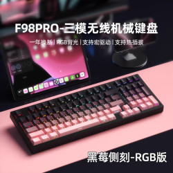 锐蚁 磁轴机械键盘电竞游戏专用无线蓝牙三模侧刻gasket客制化结构RGB热插拔游戏键盘 黑莓侧刻-RGB热插拔-无线三模