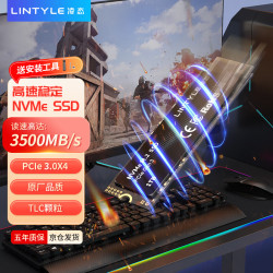 LINTYLE NVMe协议 SSD固态硬盘  1TB