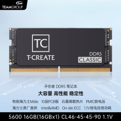 十铨 CLASSIC开创者 DDR5笔记本内存条 5600MHz 64GB（2×32GB）