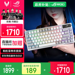 ROG 夜魔机械键盘 无线/蓝牙三模游戏键盘75配列 RGB热插拔客制化 Gasket结构OLED屏 夜魔月曜白 雪武白轴