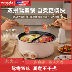 Aenaeder 电火锅多功能锅鸳鸯锅家用电煮锅多功能一体式火锅涮煮锅宿舍电炒锅