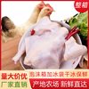 穆至润 西装鸡商用整箱批发生鲜炸鸡去头去爪烧烤白条鸡肉三黄土鸡童子鸡