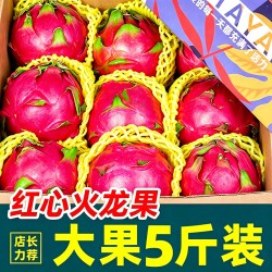 源味情 金都一号红心火龙果5斤大果整箱当季现摘红肉密宝新鲜水果包邮10