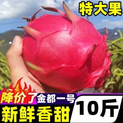 豔疅 广西红心火龙果新鲜10斤当季水果香甜金都一号孕妇红肉密宝整箱