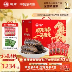 晓芹 即食大海参4斤大参王辽刺参礼盒深海年限长2000g