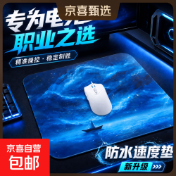 鼠标垫fps顺滑大号细面电脑桌垫电竞射击游戏无畏契约CSGO防水防滑操控游戏垫翼系列 翼-仙踪 360x300*4mm