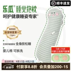 乐瓜 大号恐龙 80