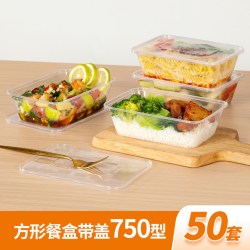 特美居 一次性餐盒方形外卖打包盒便当野餐保鲜盒饭盒露营野餐盒