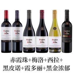 红魔鬼 赤霞珠+梅洛+西拉+黑皮诺+霞多丽+黑金浓郁葡萄酒组合750ml＊6瓶