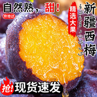 京地达 新疆法兰西西梅 净重5斤珍稀巨无霸单果30g+香甜李子新鲜水果包邮