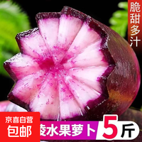 京喜 山东新鲜水果冰淇淋萝卜网红直播间凉拌轻食早餐超市品质 水果冰淇淋萝卜5斤 含箱