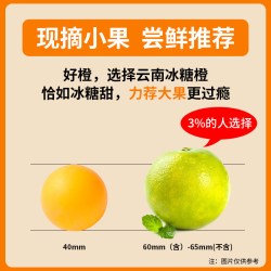 植都 顺丰礼盒云南冰糖橙20斤橙子新鲜当季青皮果冻甜橙水果整箱包邮