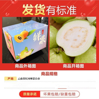 移动端：榴汁乡 芭乐番石榴新鲜现摘云南白心芭乐热带孕妇水果软糯香甜