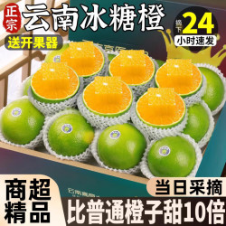 颜曼箐 冰糖橙 云南正宗哀牢山冰糖橙子新鲜水果手剥果冻甜橙子当季 5斤尝鲜果 单果60mm+ 净4.5斤