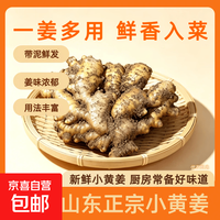 京喜 山东小黄姜（净重 1.8斤）
