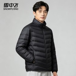 雪中飞 男士轻薄羽绒服短款立领秋冬新款90白鸭绒休闲通勤保暖外套