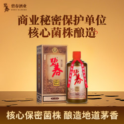 碧春 密酿酱香型白酒 53度 500ml