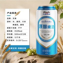 天湖啤酒 9度原浆拉格啤酒 500ml×12听