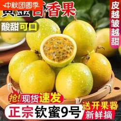 食悦果 广西钦蜜9号黄金百香果新鲜应当季水果甜蜜多汁皱皮现摘现发D优选