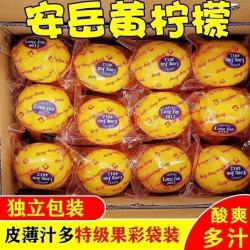 黄柠檬 12枚装 单果80g+