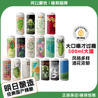 明日酿造 BREW FOR TOMORROW)国产精酿啤酒 朦胧的梦浑浊 超级物种双倍浑浊IPA啤酒 明日的选择蜜桃林浑浊IPA 500mL 1罐