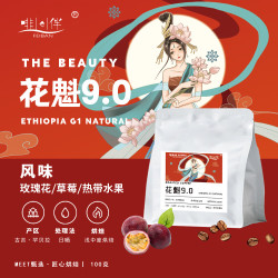 啡伴埃塞俄比亚花魁咖啡豆9.0花果香精品咖啡豆日晒意式手冲美式中烘 花魁9.0-100克 精品咖啡豆
