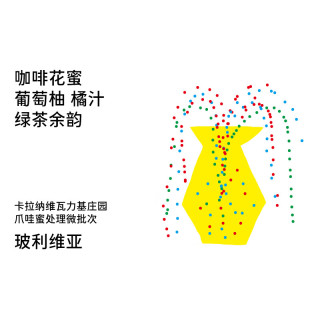 治光师 T系列 玻利维亚爪哇蜜处理 葡萄柚|绿茶风味手冲咖啡豆100g 蜜处理爪哇