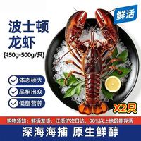 鲜活波士顿龙虾450-500g*2只加拿大进口活的大龙虾中秋礼品顺丰