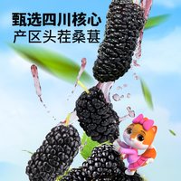 88VIP：三只松鼠 四川黑桑椹泡水泡酒无沙无添加果干免洗