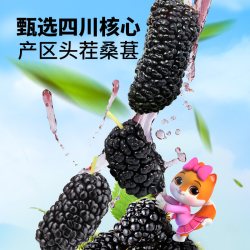 三只松鼠 四川黑桑椹泡水泡酒无沙无添加果干免洗