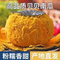 百亿补贴：澳农卡 贝贝南瓜板栗味小南瓜 5斤 单果250g+
