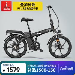 PHOENIX 锂电池助力车折叠代驾长续航电动自行车男女成人电动车 20寸风雅/一体轮/6速/黑色 6AH助力续航20-30公里
