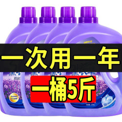 薰衣草香型洗衣液除菌持久留香72小时香水官方正品品牌香氛大桶装