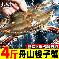 北海湾 【冷冻】26年新蟹 舟山特大梭子蟹鲜活大螃蟹大肥壮飞蟹新鲜净重 4斤【5-7两/只】