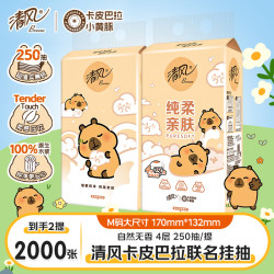 清风 挂抽卡皮巴拉2提抽纸悬挂式柔软抽纸4层加厚250抽/提卫生纸
