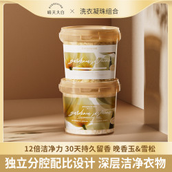 EVERSHINE 晚香玉5D洗衣凝珠洗衣液持久留香D