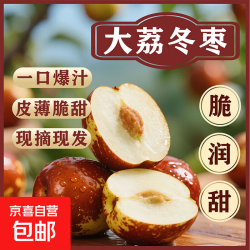京喜加 陕西大荔冬枣鲜枣单果8-12g 带箱5斤净重4.6斤