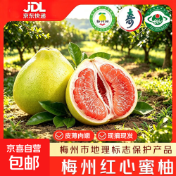 广东梅州红心蜜柚 中果9斤 净重9斤