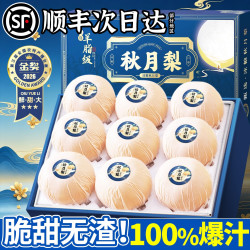 沐小七果蔬 正宗莱阳秋月梨山东新鲜水果礼盒中秋送礼 单果310g净4.5斤