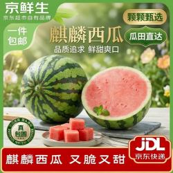 京鲜生 无籽麒麟西瓜 净重5-7斤 1粒生鲜水果源头直发包邮