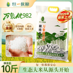 红一优粮 国产金奖丝苗香米5kg
