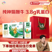 伊利 SATINE 金典 3.8g蛋白质 娟姗纯牛奶 250ml*12盒