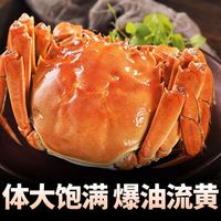 【活蟹】今旺鲜活大闸蟹特大螃蟹礼盒全母足斤足两