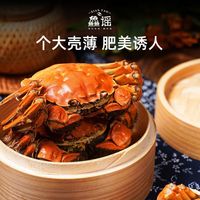 【活蟹】鱻谣 大闸蟹全母2.8-3.1两鲜活螃蟹足斤足两礼盒清蒸兴化