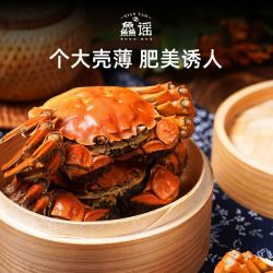 鱻谣 大闸蟹全母2.8-3.1两鲜活螃蟹足斤足两礼盒清蒸兴化