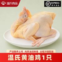 温氏 生态黄油鸡 散养土鸡供港品质款 800-900g/只 整袋装