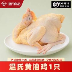 温氏 生态黄油鸡 散养土鸡供港品质款 800-900g/只 整袋装