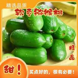 鲜姿 软枣猕猴桃应季新鲜绿心奇异莓果孕妇水果放软后食用 净重1.8斤长软枣【15g-30g】
