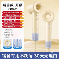 奥克斯 负离子护发 800W小功率 电吹风机
